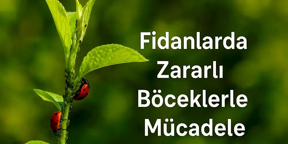 Çim Böcek Zararlıları: Teşhis, Koruma ve Etkili Mücadele