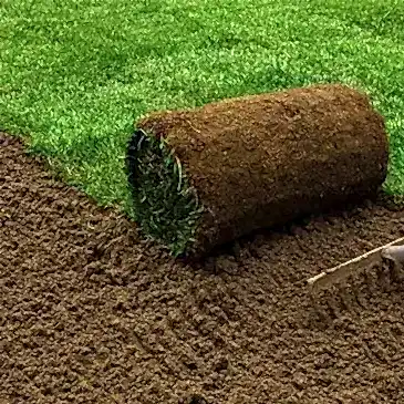 Rulo Çim Toprak Hazırlığı: Başarılı Uygulamanın Sırları