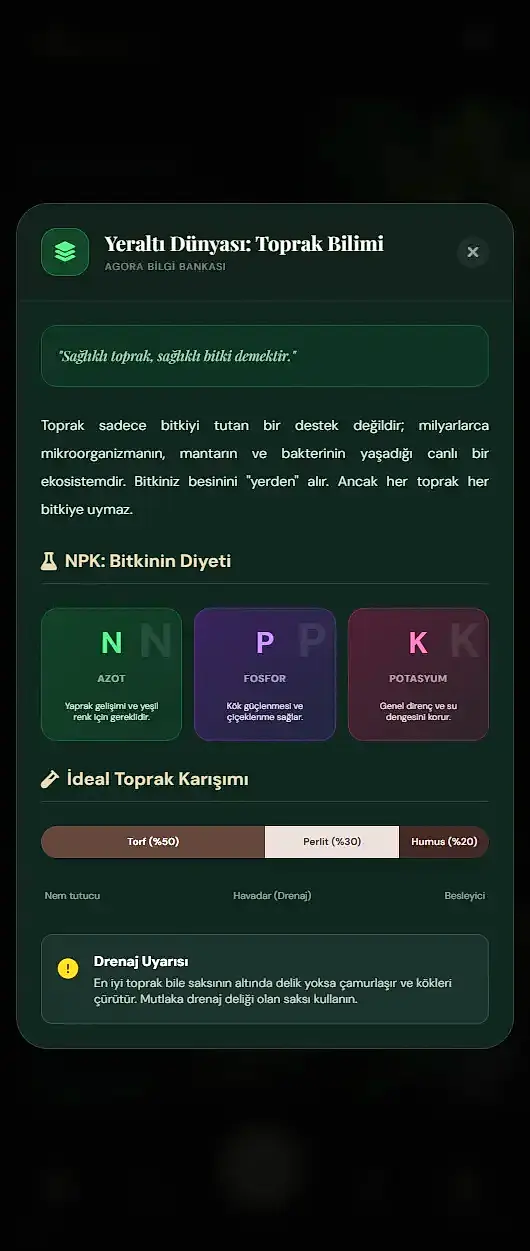 Sonraki