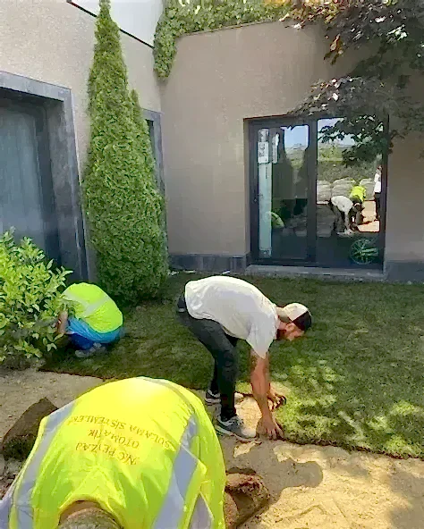 Periyodik Bahçe Bakımı