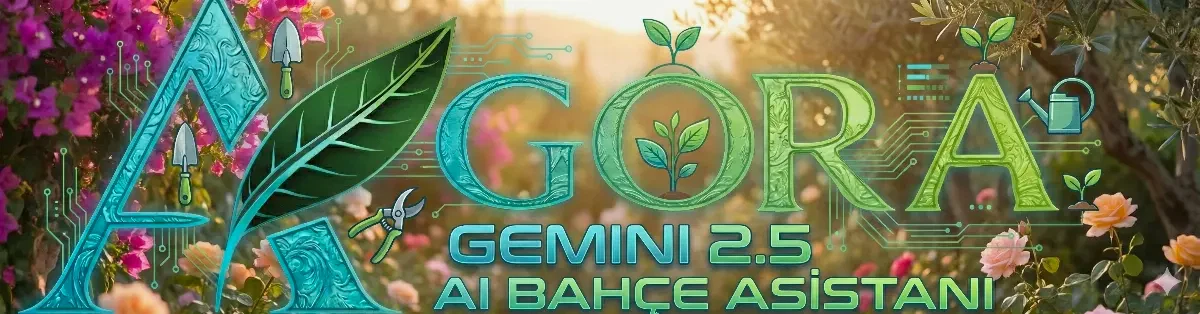 Bakı Hazır Çim Sahaları